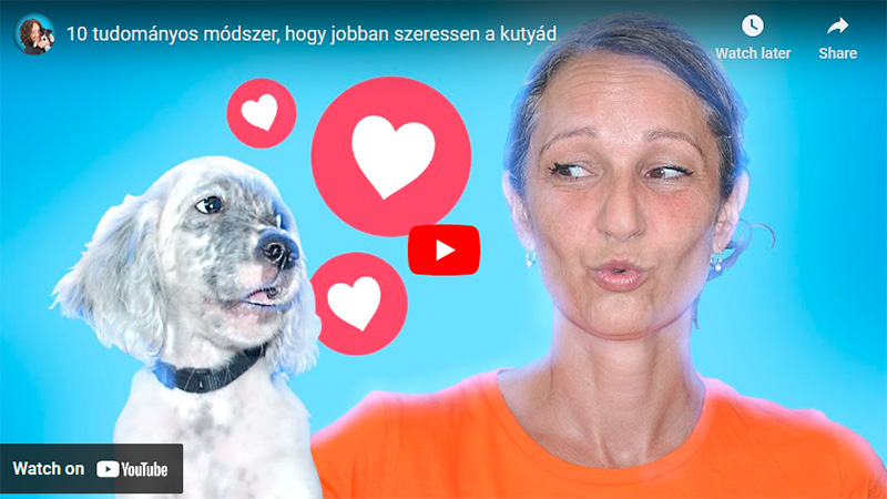 10 tudományos módszer hogy jobban szeressen a kutyád